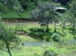 The river in Desengano